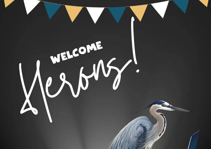 Imagen de bienvenida a las garzas